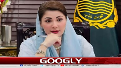 Trusting and protecting the earth for future generations is essential: Maryam Nawaz