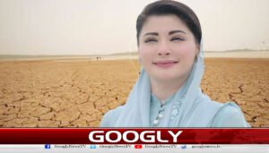 پنجاب حکومت کا بنجر زمینوں کو آباد کرنے کے لیے شرمپ فارمنگ کا آغاز