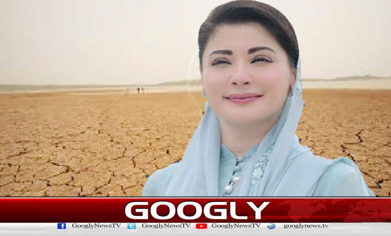 Punjab government launches shrimp farming to reclaim barren lands