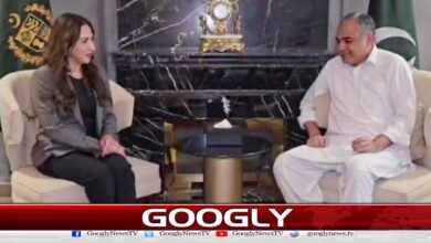 Hope Iran, US will prioritize peaceful solution, Mohsin Naqvi