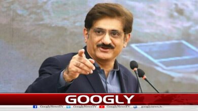 Making the land green and lush is top priority, Sindh Chief Minister