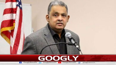 Pakistan is trying to achieve stability through excellent diplomacy, Rizwan Sheikh