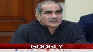 hard work of political and military leadership in the ceasefire is commendable: Saad Rafique