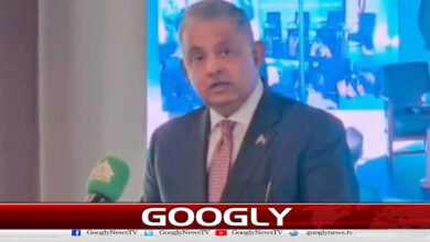 Pakistan has always played a constructive role for peace and stability, Ambassador Rizwan Saeed