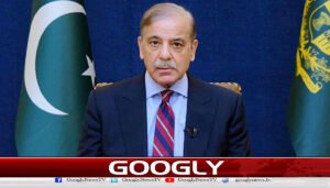 قدرتی وسائل، انسانی زندگی کی بقا کی ضمانت ہیں، وزیر اعظم