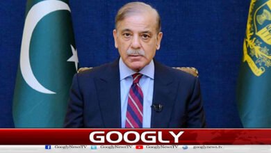 Natural resources are the guarantee of human survival, says Prime Minister