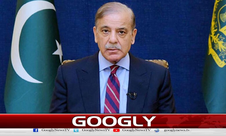 Natural resources are the guarantee of human survival, says Prime Minister