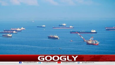 Turkey offers to clear mines laid in Hormuz