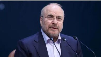 WhatsApp Image 2026 04 19 at 10.53.03