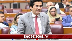 تیل کی بڑھتی ہوئی قیمتیں مجبوراً عوام پر منتقل کرنا پڑیں،وزیرپٹرولیم