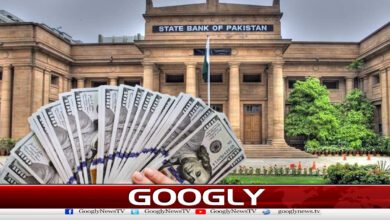 State Bank of Pakistan's foreign exchange reserves exceed $21.89 billion