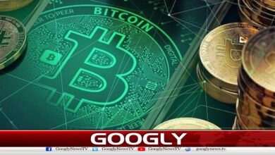 Crypto Council plans to issue crypto licenses to exchange companies