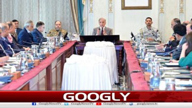 Pakistan will continue to play its role to save human lives, says Prime Minister