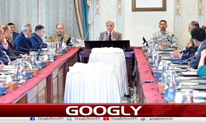 Pakistan will continue to play its role to save human lives, says Prime Minister