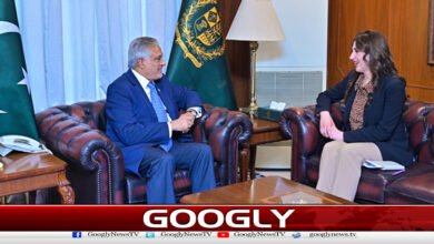 Iran and America should consider extending ceasefire, says Ishaq Dar