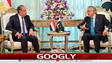 Ishaq Dar telephones Egyptian counterpart, discusses regional issues