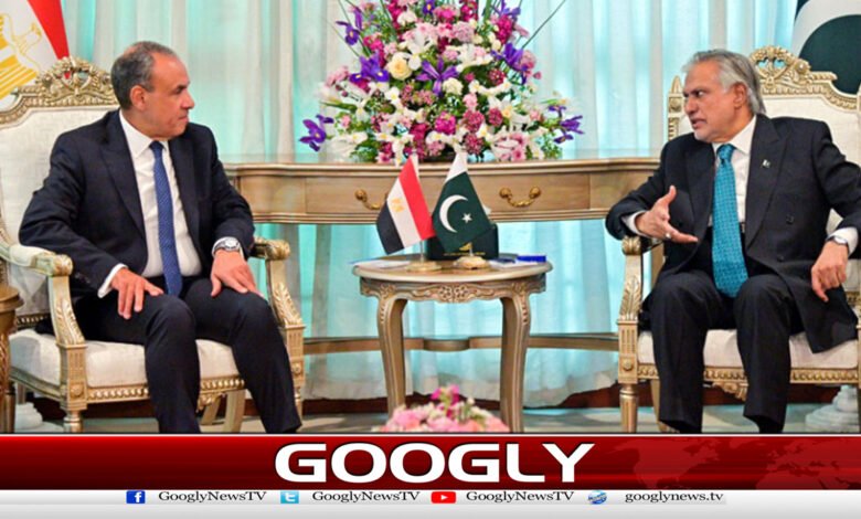 اسحاق ڈار کا مصری ہم منصب کو ٹیلیفون ،علاقائی امور پرتبادلہ خیال 1 Ishaq Dar telephones Egyptian counterpart, discusses regional issues