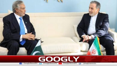 Ishaq Dar and Iranian Foreign Minister hold talks, discuss mutual issues