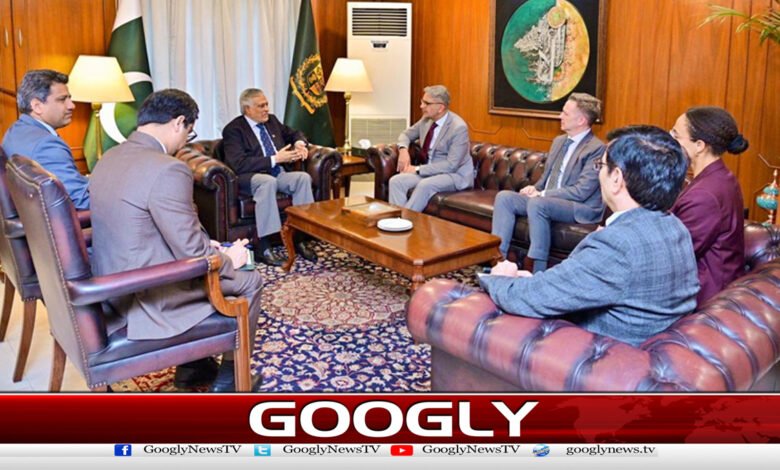 Canadian High Commissioner meets Ishaq Dar, discusses regional peace