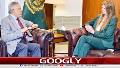 Foreign Minister meets British High Commissioner, discusses ceasefire