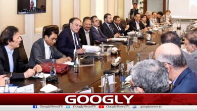 ECC approves export of donkey meat, hides