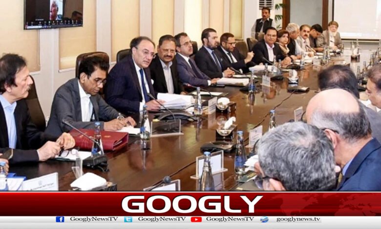 ECC approves export of donkey meat, hides