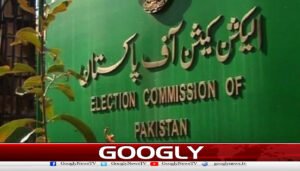 الیکشن کمیشن نےعام انتخابات 2024 کی مکمل رپورٹ جاری کر دی
