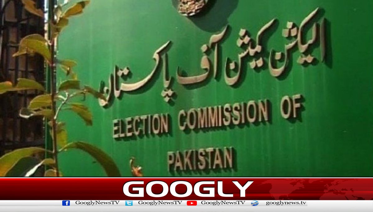 الیکشن کمیشن نےعام انتخابات 2024 کی مکمل رپورٹ جاری کر دی