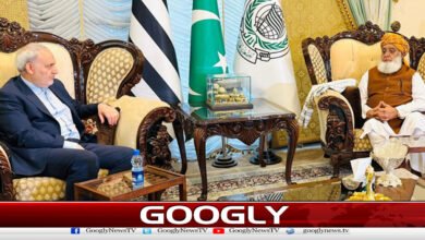Iranian ambassador visits Maulana Fazlur Rehman's residence, expresses gratitude for support