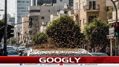 اسرائیل کے مختلف علاقوں میں شہد کی مکھیوں کاحملہ،ویڈیووائرل 5 Bees attack various areas of Israel, video goes viral