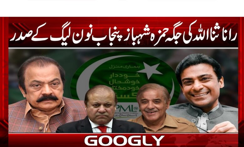 Hamza Shahbaz replaces Rana Sanaullah as Punjab PML-N President