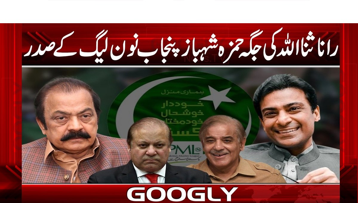 رانا ثنا اللہ کی جگہ حمزہ شہباز پنجاب نون لیگ کے صدر