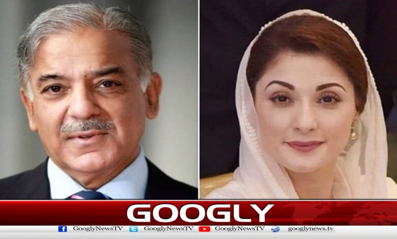 Austerity campaign: Punjab sends Rs 40 billion to the federation