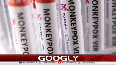 سندھ میں ابتک منکی پاکس سے 9اموات کی تصدیق 2 9 deaths from monkeypox confirmed in Sindh so far