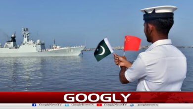 Pak Navy, China joint naval exercise Sea Guardian concludes