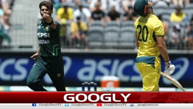 Schedule for ODI series between Pakistan and Australia has been announced.