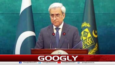 End of armed operations and peace in Lebanon are essential, says Pakistan