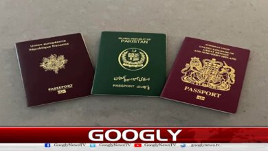 3 Immigration Department officers suspended for robbing public