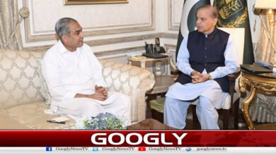 Mohsin Naqvi holds important meeting with Prime Minister, congratulates him on successful diplomacy