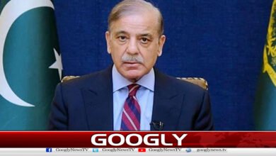 Ceasefire violations are affecting the spirit of the peace process, says PM