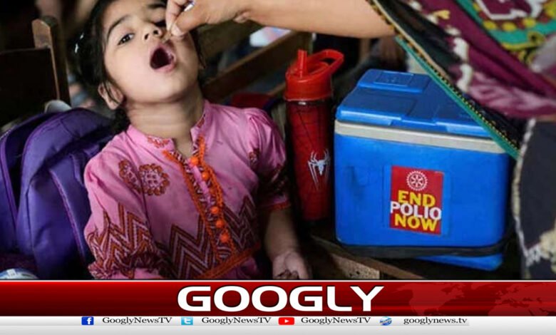 سال2026کی دوسری قومی انسداد پولیو مہم جاری 1 The second national polio eradication campaign of 2026 is underway.