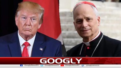 جنگ کیخلاف بولتا رہوں گا،پوپ لیو کا ٹرمپ کی تنقید پرجواب 3 I will continue to speak out against war, Pope Leo responds to Trump's criticism