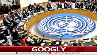 Security Council: Russia and China veto resolution to open Strait of Hormuz