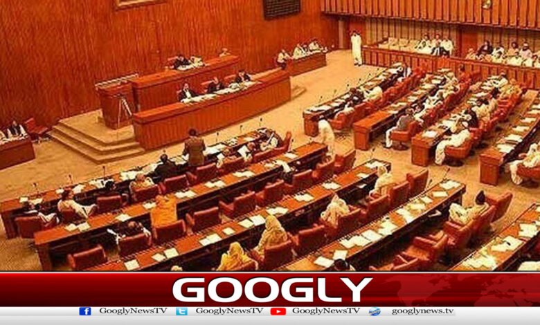 Murad Saeed's vacant Senate seat, Farkhonzada Hussain, nominated by the opposition