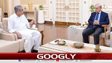 PSL play-off stage, Prime Minister allows fans to enter stadiums