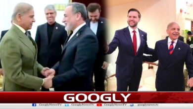 Pakistan has made sincere efforts for peace in the region, says Sharif