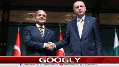 Turkish President calls Shehbaz Sharif, congratulates him on ceasefire in the region