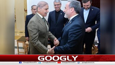 Shahbaz Sharif: Will continue his role in promoting diplomatic ties