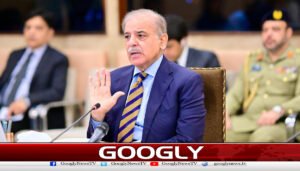 کفایت شعاری سے بچائی گئی رقم عوام پر خرچ کی جائےگی،شہبازشریف