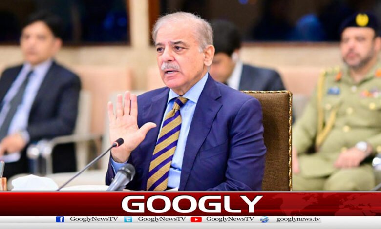 Money saved through austerity will be spent on the people, says Shahbaz Sharif